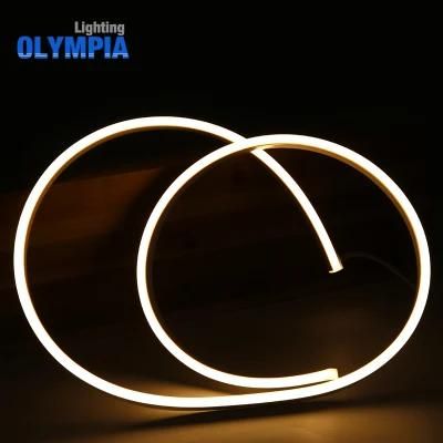 IP68 Waterproof Line LED Ultra Thin Neon Flex Rope Light