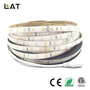 High Brightness DC12V IP20 IP65 SMD2835 Ww Cw 10m 30LEDs 60LEDs 120ledsflexible LED Strip Tape Ce ETL UL