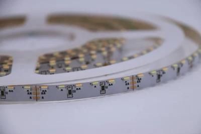 High Quality DC 12V 24V 3014 SMD 156LEDs/M Flexible LED Strip Light