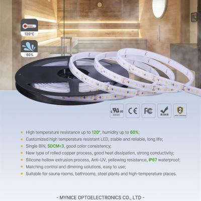 Withstand High Temperature and High Humidity LED Flex Strip