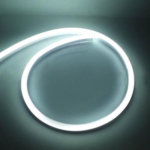 2835 Waterproof LED Neon Strip Light Indoor Outdoor Lighting LED Neon Flex 12V LED Strip Light