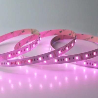 60LEDs/M SMD5050 DC12V 24V RGB+CCT Rgbww 5in1 Flexible LED Strip