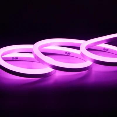 Christmas Light Home Decorate 220V/230V 10*20mm LED Flex Neon Pink Color with Ce/RoHS/IP65