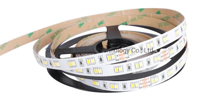 Double Color 2835 CCT LED Light Strip 3000K 6000K IP20 12/24V 10mm PCB 120LED Changeable CCT LED Strip