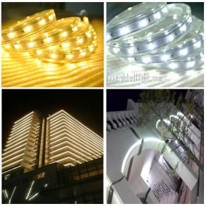 Christmas Decoration Holiday SMD5630 Strip LED Lighting