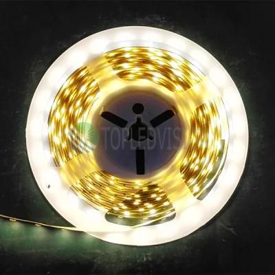 Waterproof Ce Approved 12V 30LEDs/M SMD5730 Flexible LED Strip Light