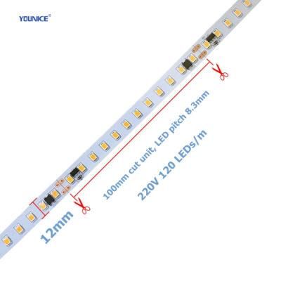 Single-Ended Power Supply IP67 Waterproof 50 Meters 220V High Voltage LED Strip