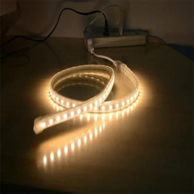 High Voltage Ribbon Light SMD5050 IP65 IP67 Waterproof 60LEDs Per Meter