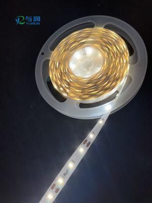 10mm 2835SMD 60LEDs Flexible LED Strip IP20 LED Strip Light