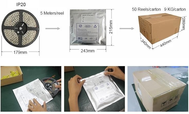 IP20/IP65 SMD5050 60LED/M LED Strip Lights/Flexible LED Strip