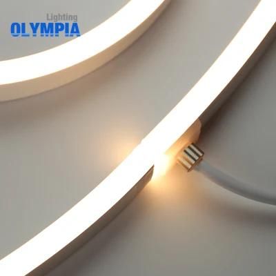 IP68 Professional Waterproof Fled Wall Pack Underwater LED Strip Light