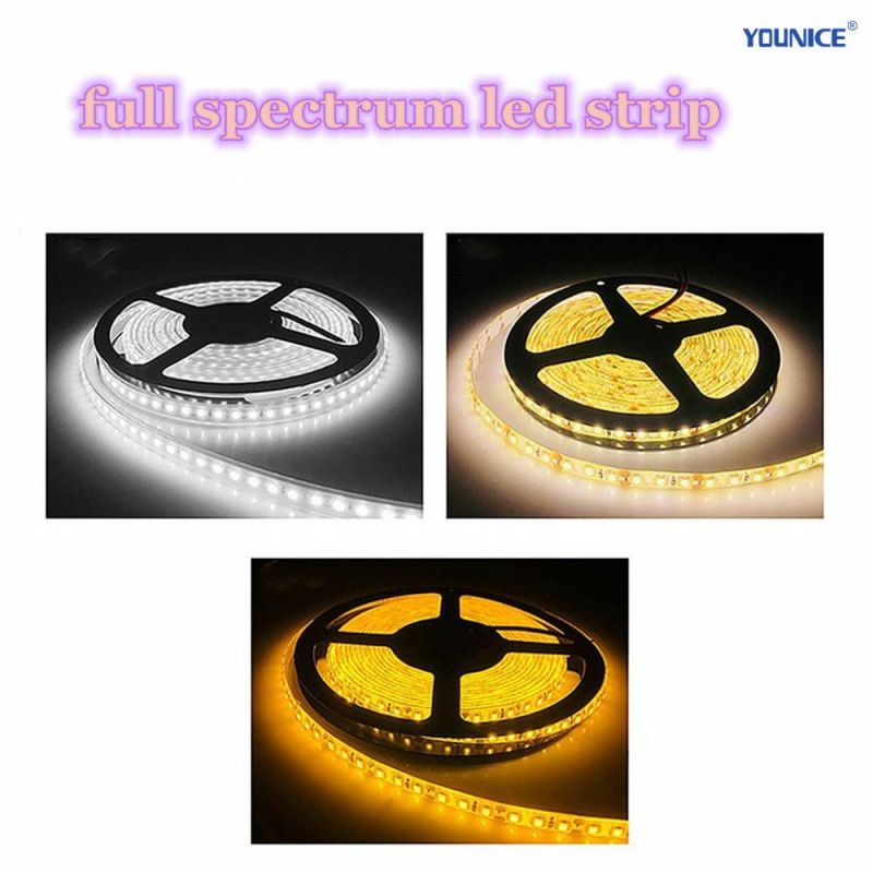 High CRI Full Spectrum LED Strip for Home Lighting