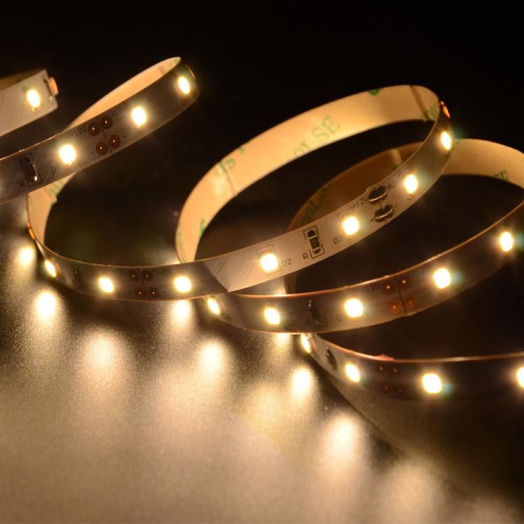 One Bin Flexible 12V/24V 60LED/M SMD 2835 LED Strip Light Tape