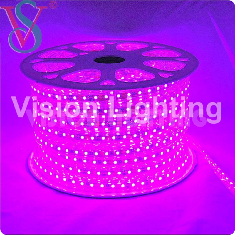 Christmas Outdoor Decoration IP65 High Quality Flexible LED Strip Light