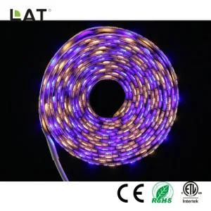 DC12V 1m IP20 High Brightness SMD5050 RGBW 60/120LEDs Flexible LED Strip Light