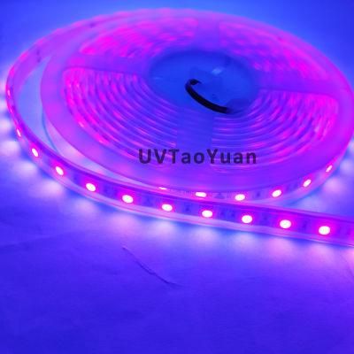 DC12V 60LEDs 5050 SMD Waterproof UV 395nm Purple LED Strip