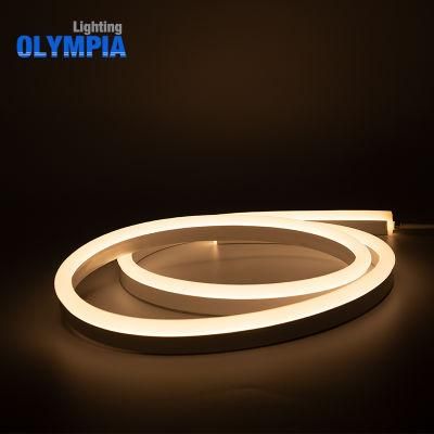 Pool Waterproof IP68 LED Light Strip for Rooms