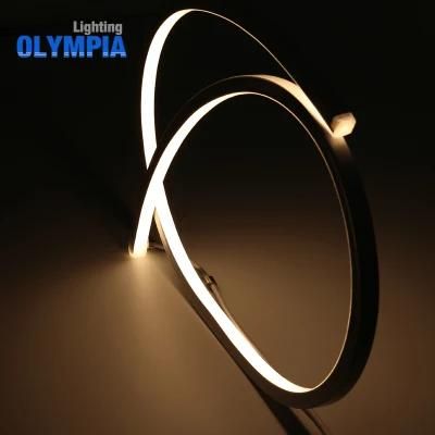 Color Changing Perfect LED Neon Rope Light Strip