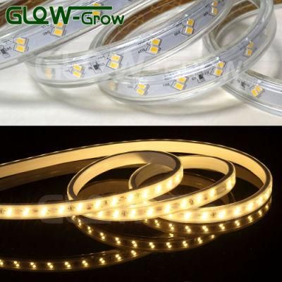 Project Use Factory IP65 60*2LEDs/M 2835 LED Strip Lamp