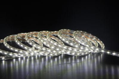 Flexible Strip LED AC120V SMD 2835 82.4FT Length 25 Meter Pack with Power Supply Outdoor Used Xmas Light Decorative Light