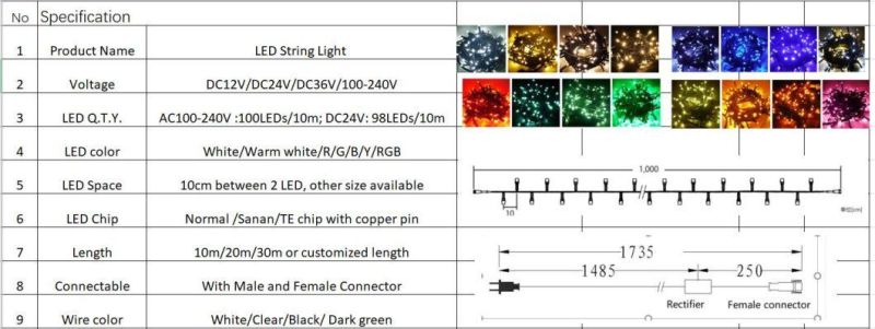 Certificated LED Christmas Light LED String Lights