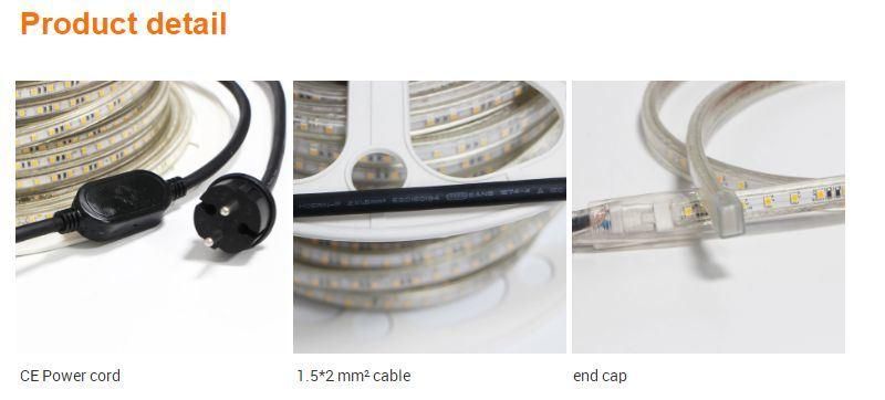 Decorative SGS Ce RoHS Double Line Outdoor/Indoor 230V 2835-192 LEDs/M Flexible LED Strip Light 50m/Roll IP65