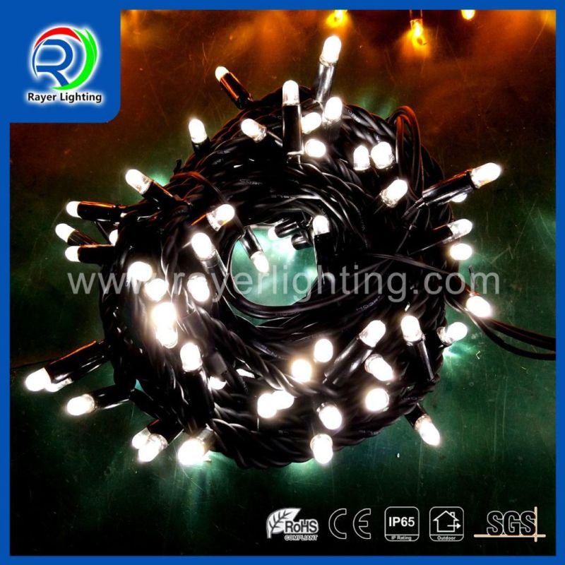 IP65 European Market Popular Lights Outdoor Festival Wedding Decoration LED String Light