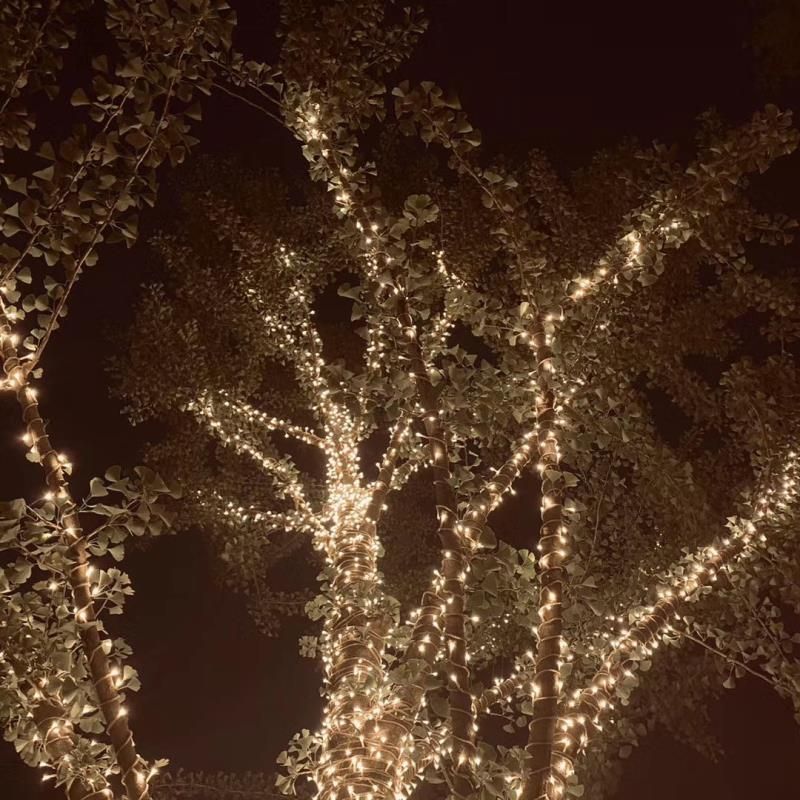 Outdoor Street Tree Light Decoration Smart Christmas Wrapped Tree Lighted Branches Lighted Trees