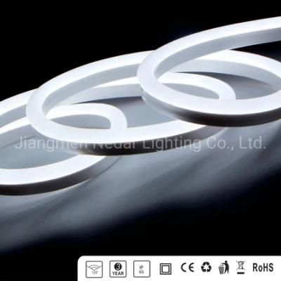 Neon Flex LED Rope Light 5 Meters Package Waterproof IP65