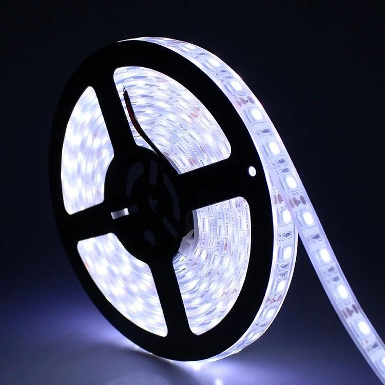 5050 60LEDs IP20 No Waterproof DC12V 5meter One Roll LED Strips White Color