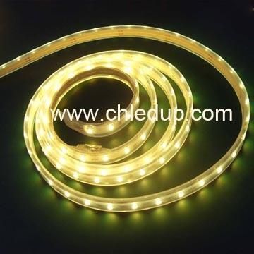 Pool Using IP68 Waterproof Flexible 3528 LED Light Strip