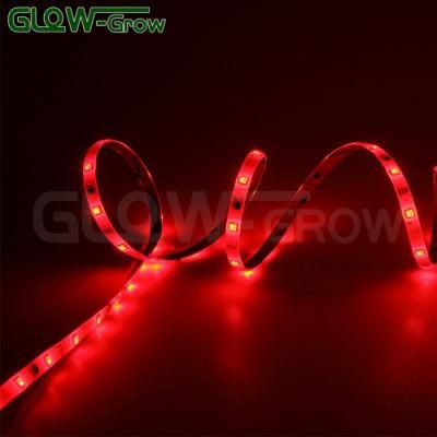 UL Listed Color Changing RGB LED Tape Light Strip Light for Indoor House Home Decoration