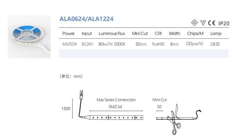 Best Quality 24V Magic Digital LED Strip