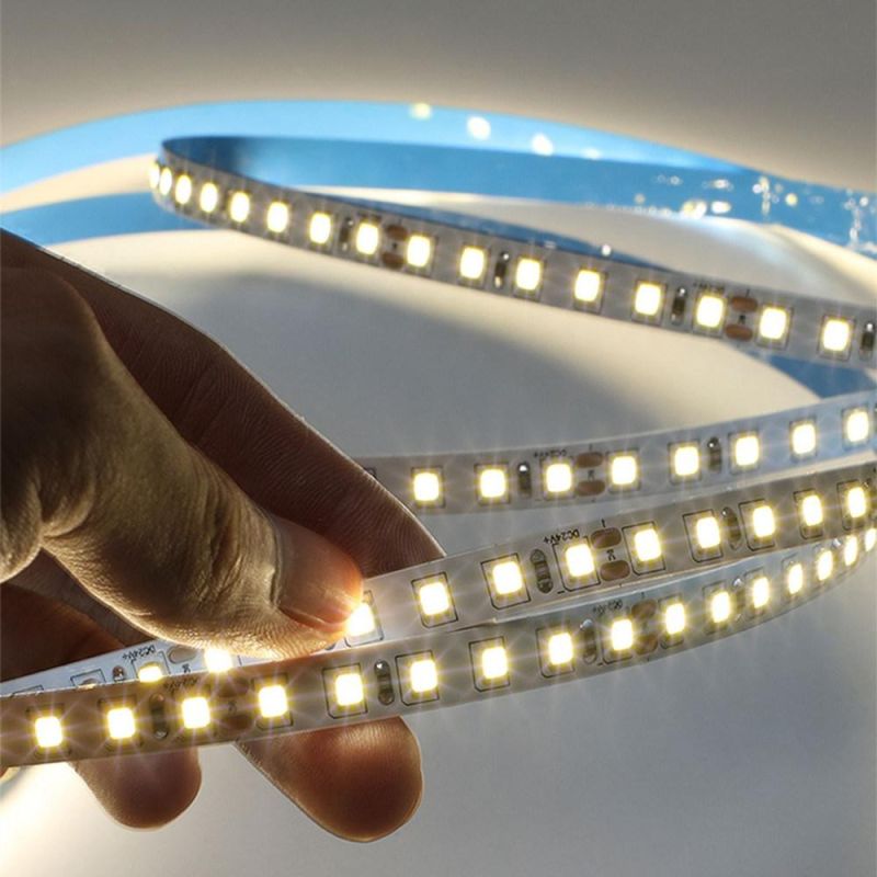 203lm/W Super Bright DC24V SMD2835 White LED Flexible Tape Light Strip