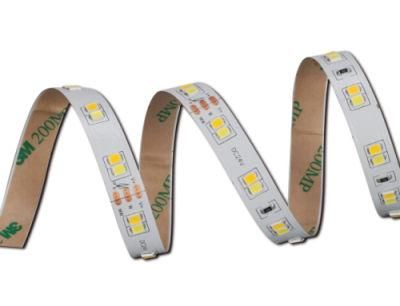 RGBW LED Strip 60LED Per Meter LED Multicolor Strip Light