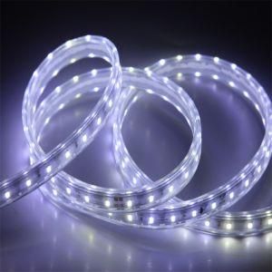 6m/10m/50m/100m/Rolls SMD 2835 Flexible Tape Strip Light