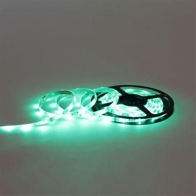 12V/24V Low Voltage RGB LED Strip SMD5050