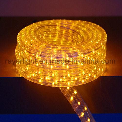 LED Outdoor Light LED Showing Decorations LED Rope Light LED Home Decoration