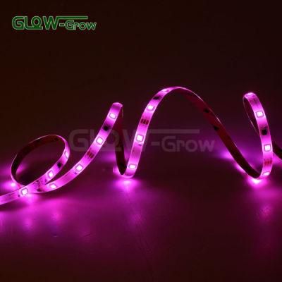 Multicolor Music Sync RGB Strip Light with 44-Key Remote Controller