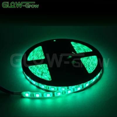 30LEDs/M 5m 12V/24V Waterproof Flexible RGB LED SMD Strip for Christmas Bar Home Party Decoration