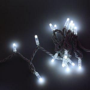 High Quality Fairy Rice Bulb String Light