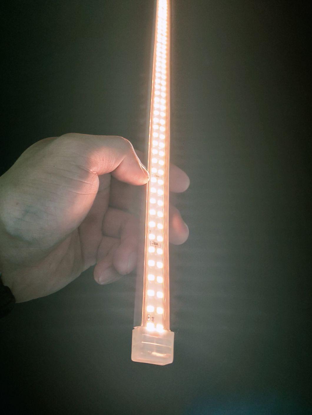 240LEDs/Meter High Brightness Decoration LED Strip Light with Plug
