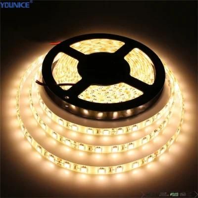 50m Single End Power Supply 100lm/W 6.57inch Cut Unit LED Flexible Strip