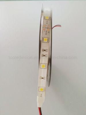 High Bright White Color SMD 5050 24V LED Strip Decoration Light LED Rope Light