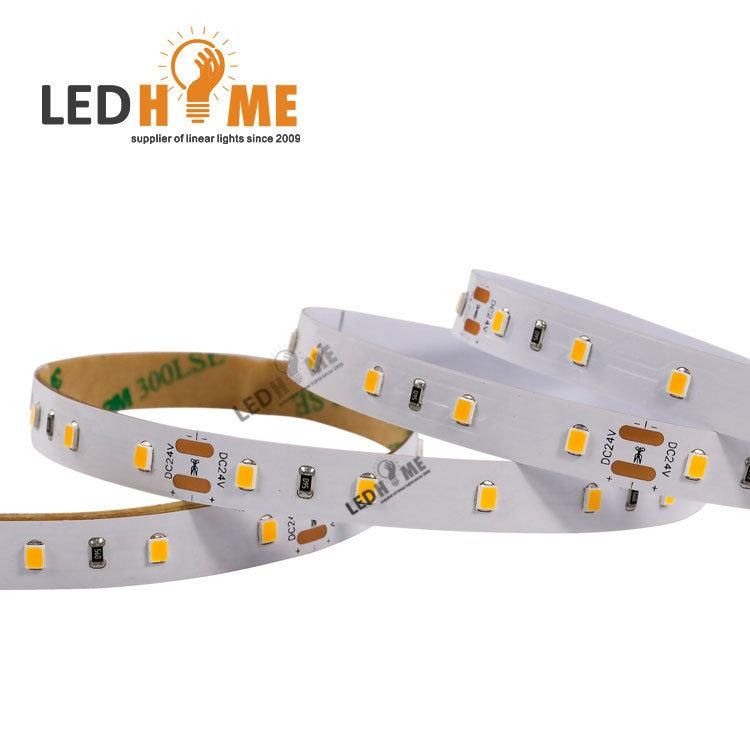 60/120/180/240/300 LED/M DC 24V LED Strip Warm/White