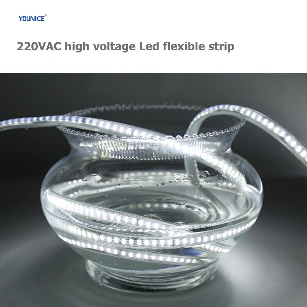 Factory Wholesale 220V High Voltage IP65 Waterproof LED Flexible Strip Light