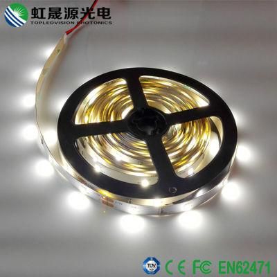 High Quality 2835 LED Strip 12/24V 30LEDs/M with IEC/En62471