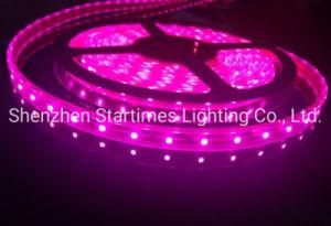 5 Years Warranty LED High Brightness 3528 Single Color Flexible Strip Light LED Lights Christmas Decorations LED Light Wedding Decoration Light