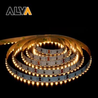 156PCS/M SMD3014 Flexible Rope Light 12V 24V LED Strip with TUV CE, IEC