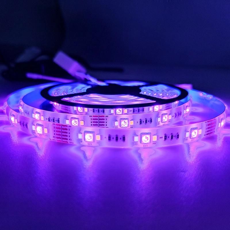 Nightclub Decoration Christmas RGB Color LED Strip APP Controlled IP65 Colorful RGB Strip Light